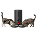 Woopet Automatic Feeder for 2 Meals / Black